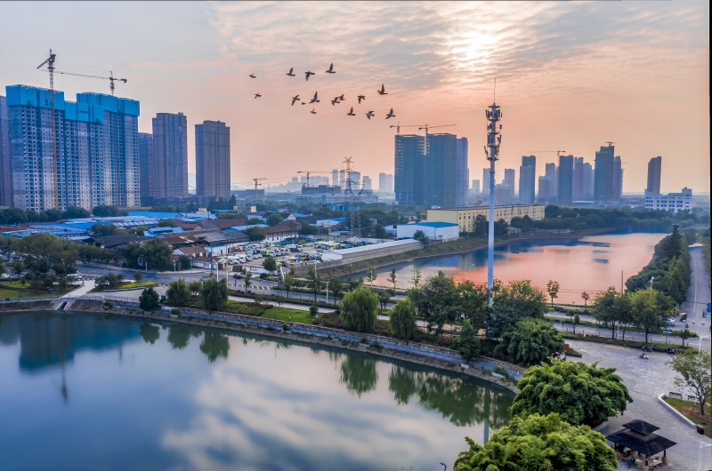银河8366cc(中国)有限公司官网