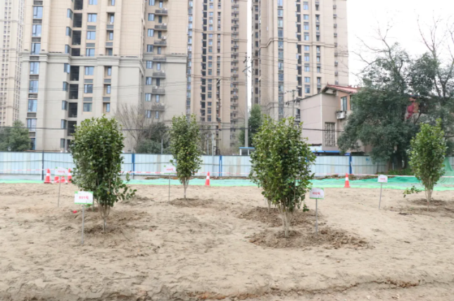 银河8366cc(中国)有限公司官网