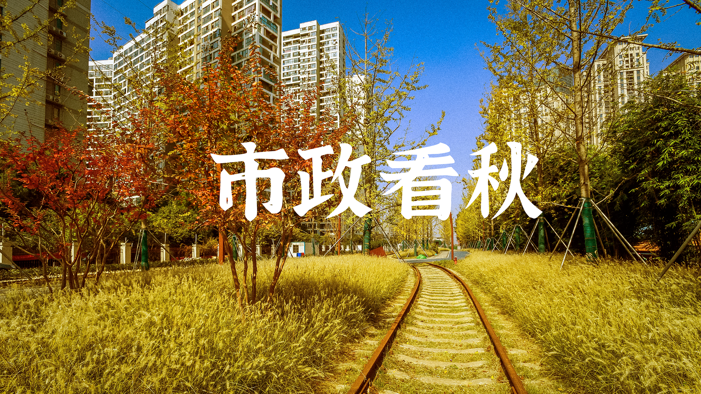 银河8366cc(中国)有限公司官网