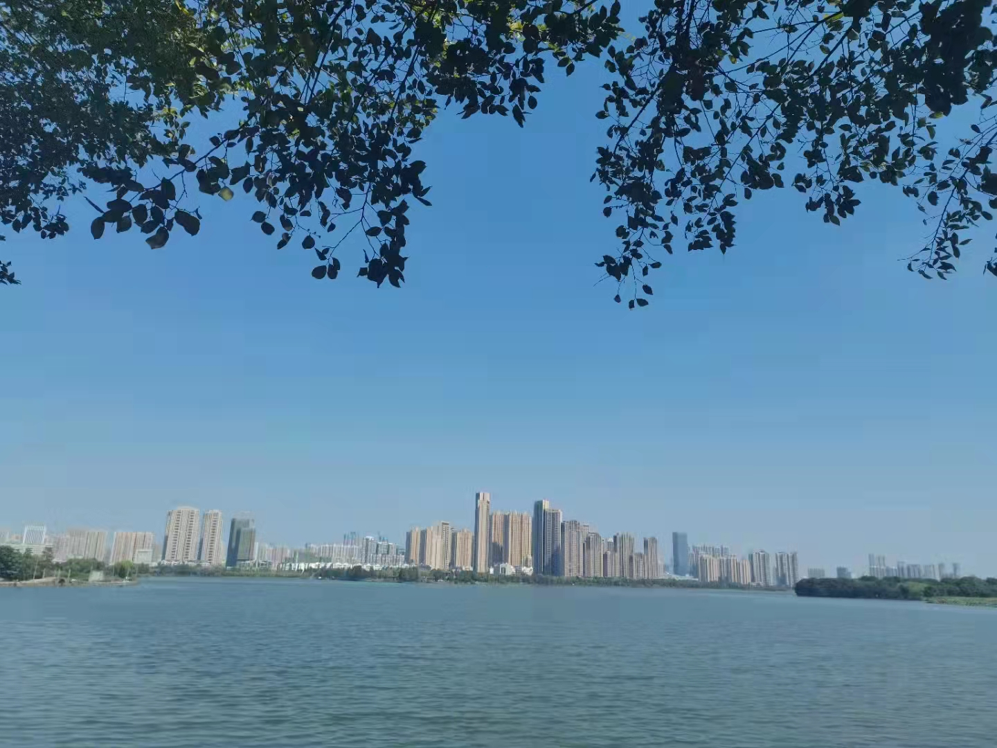 银河8366cc(中国)有限公司官网