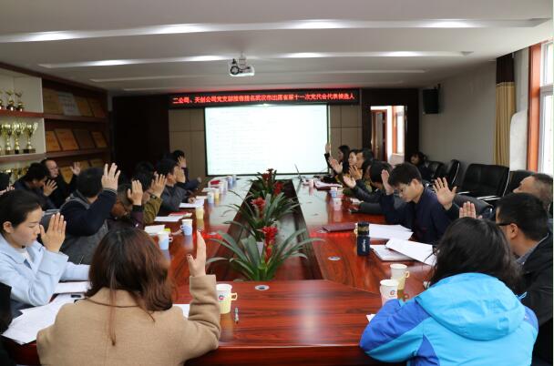 银河8366cc(中国)有限公司官网