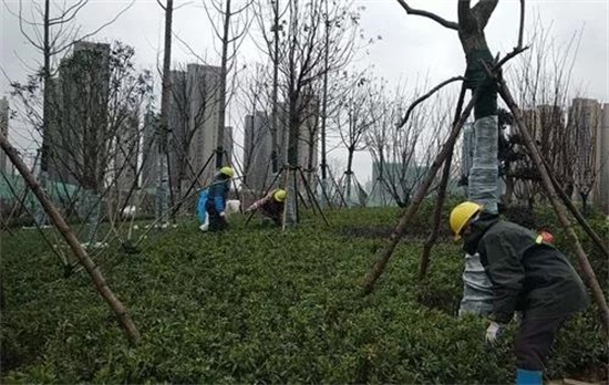 银河8366cc(中国)有限公司官网