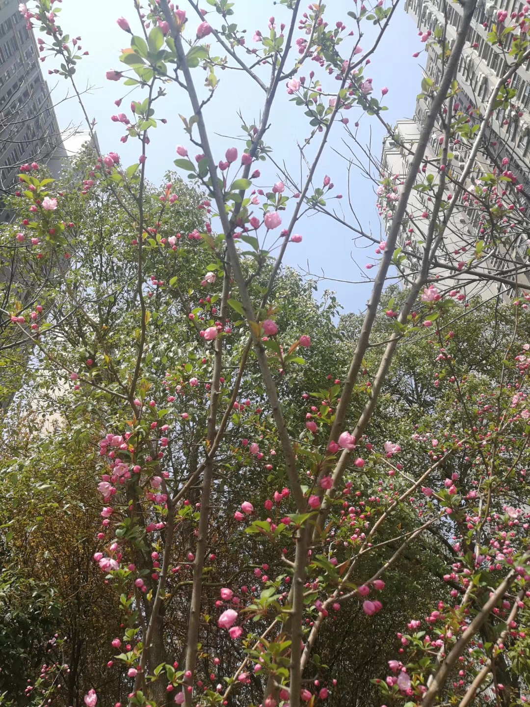 银河8366cc(中国)有限公司官网